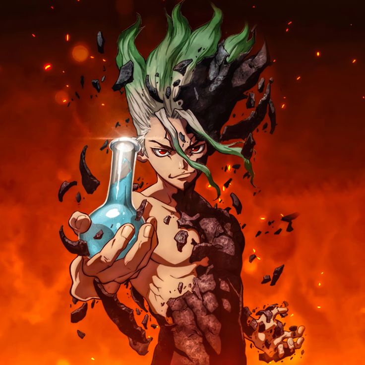 Dr. Stone